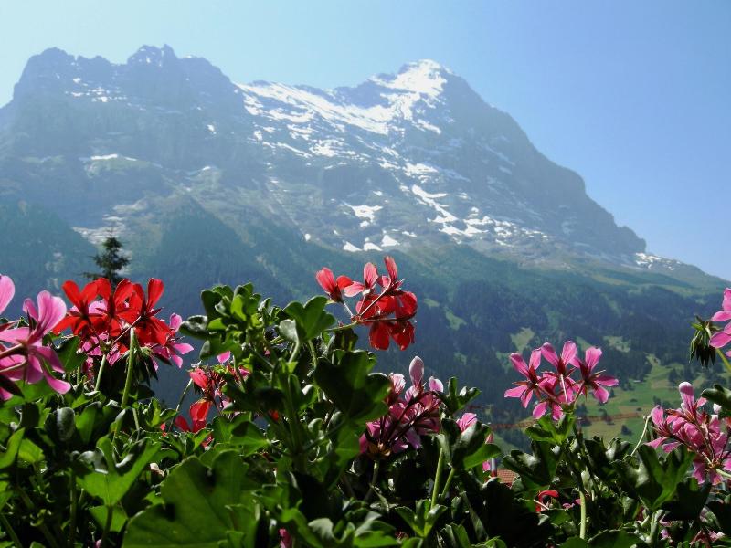 Alpenhof - Oda