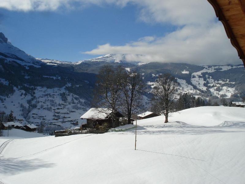 Bodmi - Genel