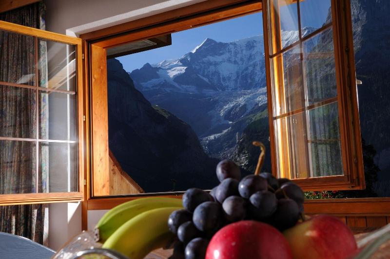Bodmi - Oda