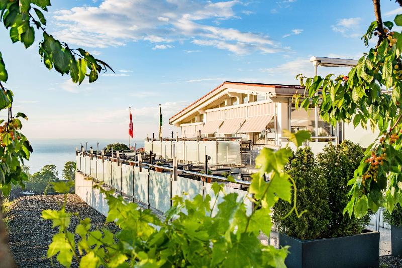 BEST WESTERN Hotel Rebstock - Genel
