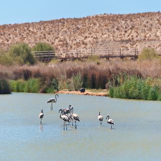Villas Barrocal fotoÄŸrafÄ±