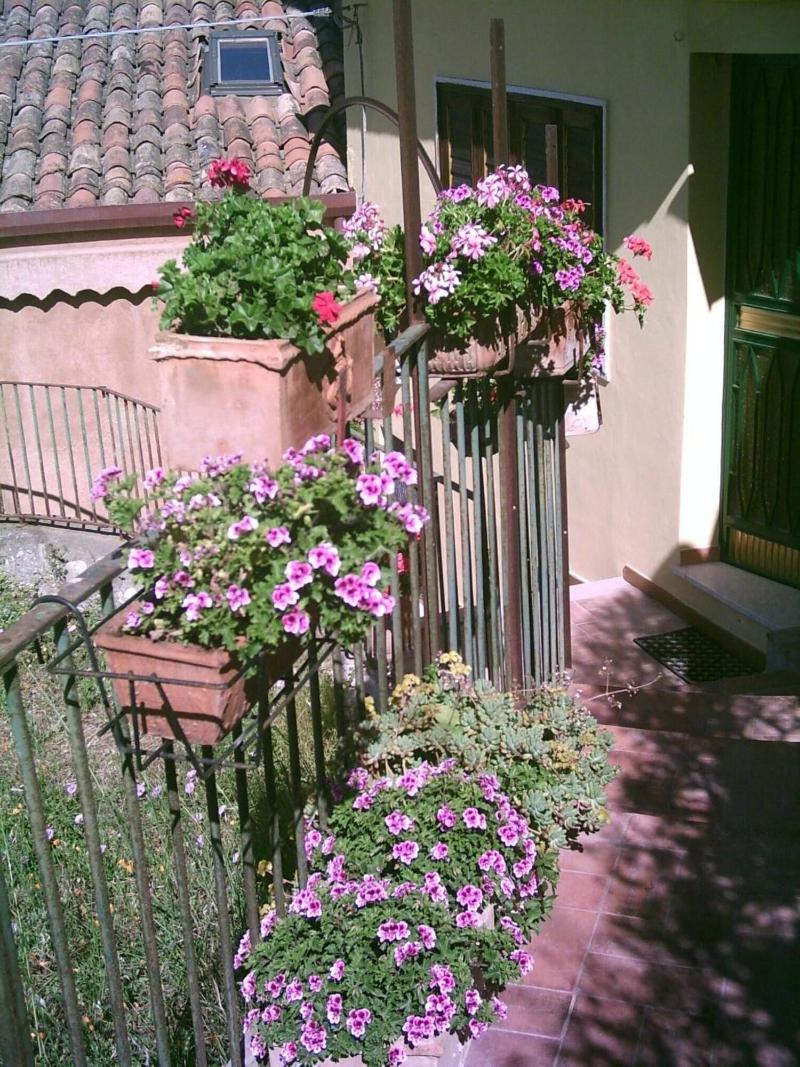 B&B U Palmentu - Genel