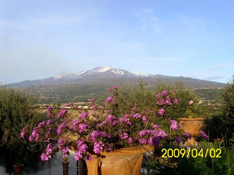 Serra San Biagio - Genel