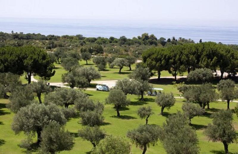MClub Lipari - Genel