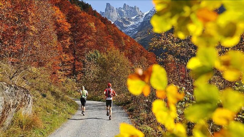 Hotel Bellevue-Terminus - Aktivite