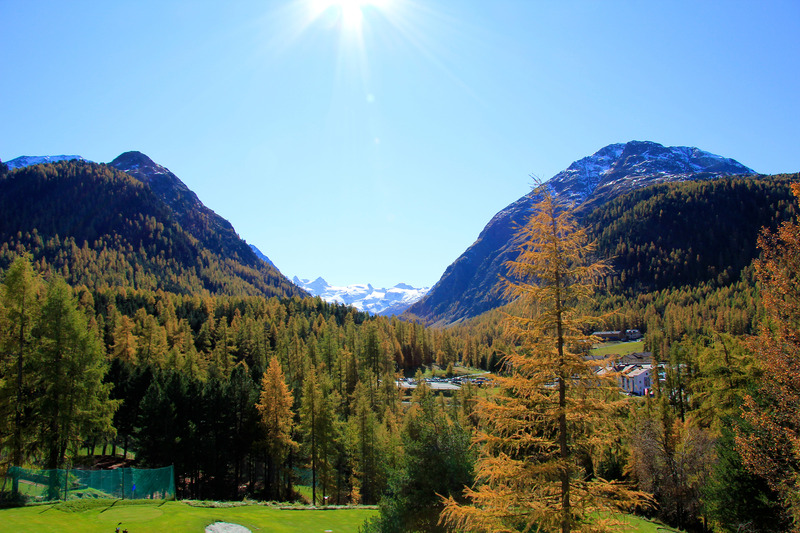 Saratz - Genel