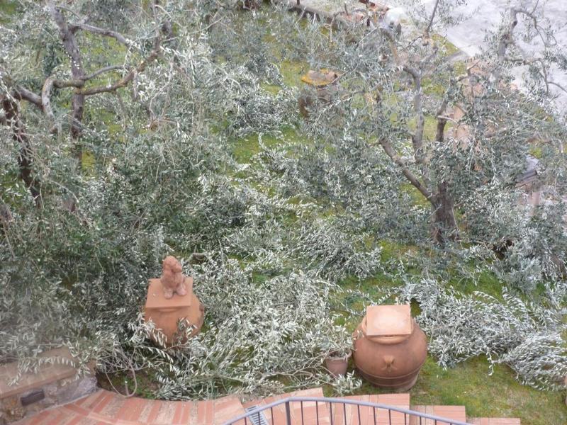 B&B I Coppi - Genel