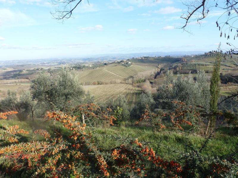 B&B I Coppi - Genel