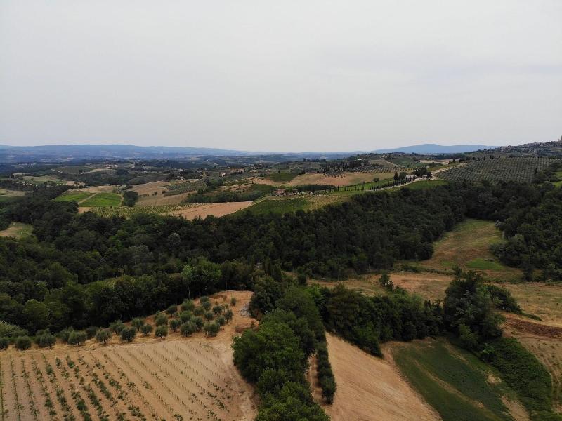 B&B I Coppi - Genel