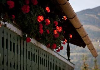 Gasthof Mitteregger fotoÄŸrafÄ±