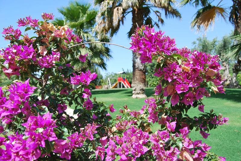 Relais Torre Marabino - Lobi
