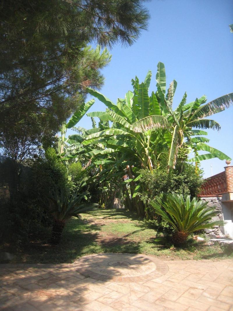 Villa delle Palme - Genel