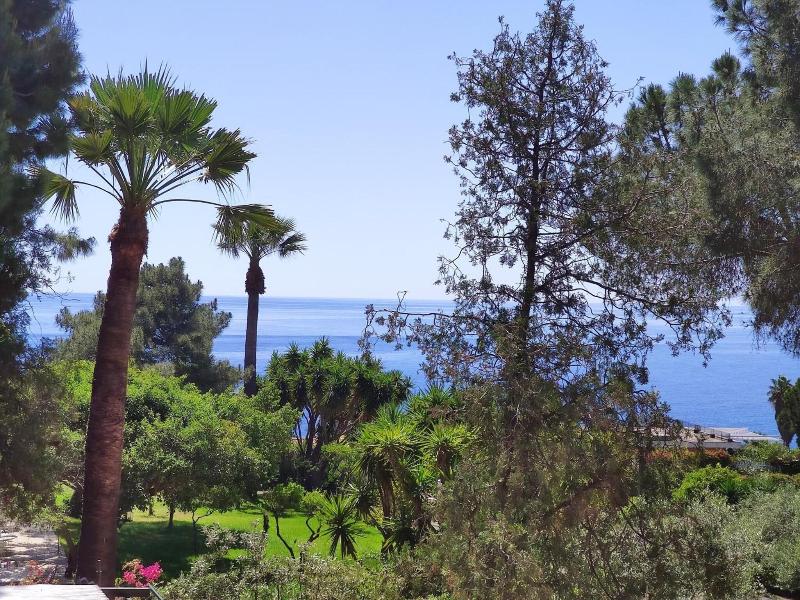 Villa delle Palme - Genel