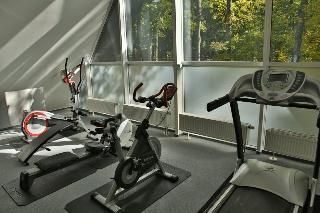 Wellness Hotel Harrachovka fotoÄŸrafÄ±