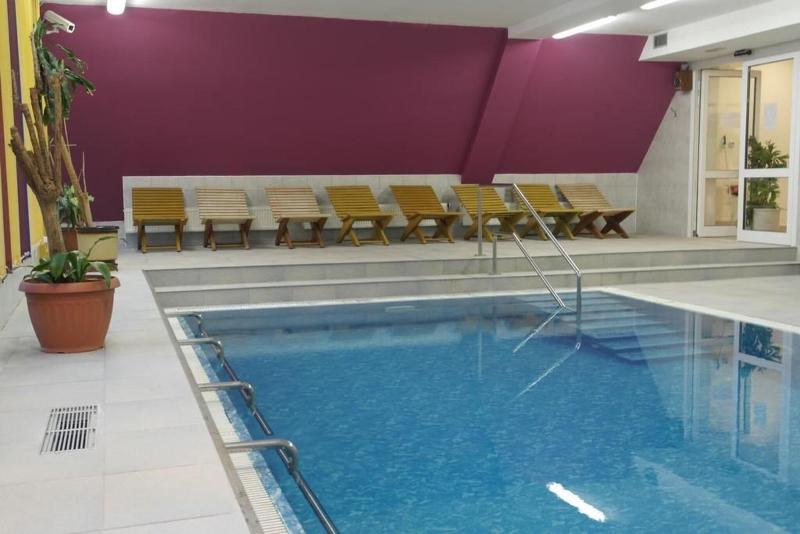 Wellness Hotel Harrachovka - Havuz
