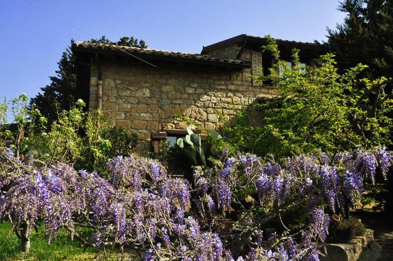 La Casa sulla Collina d'Oro - Genel