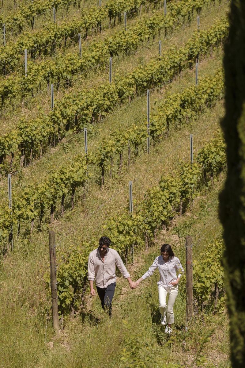 Tenuta di Sticciano - Genel