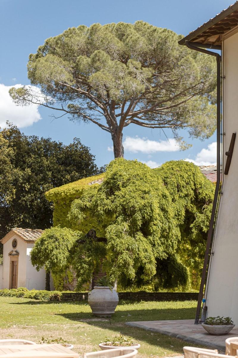 Tenuta di Sticciano - Genel