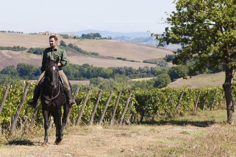 Castiglion del Bosco - Aktivite