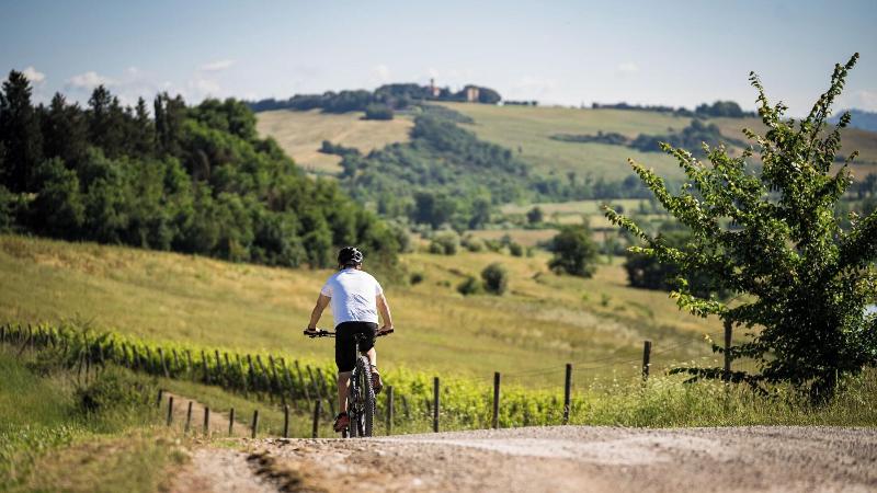 Castiglion del Bosco - Aktivite