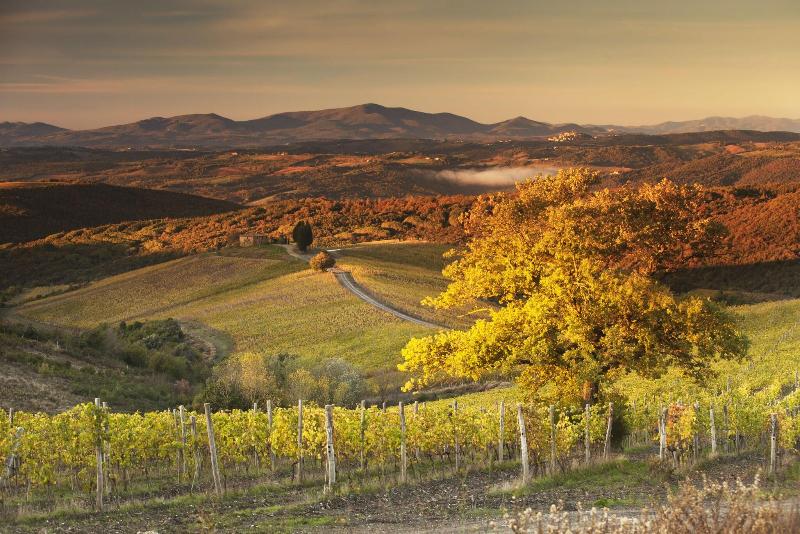 Castiglion del Bosco - Genel