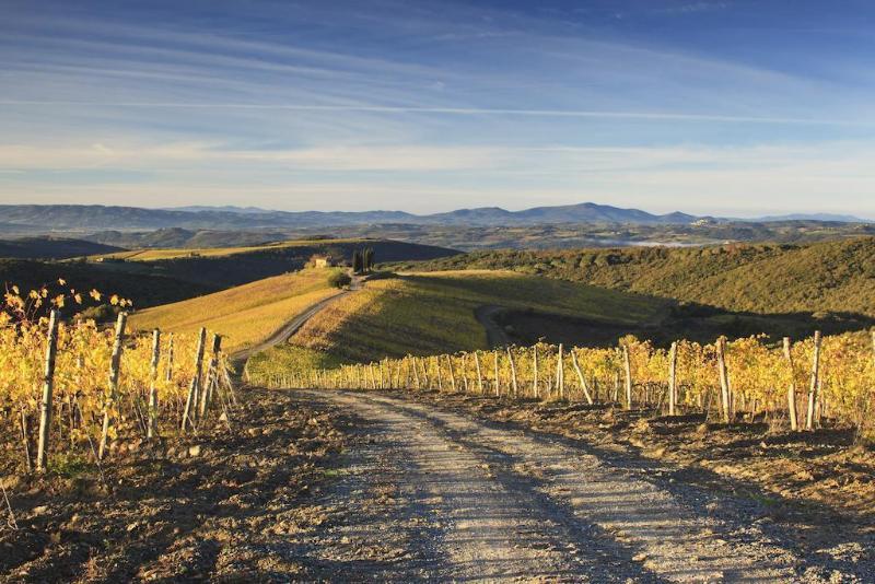 Castiglion del Bosco - Genel