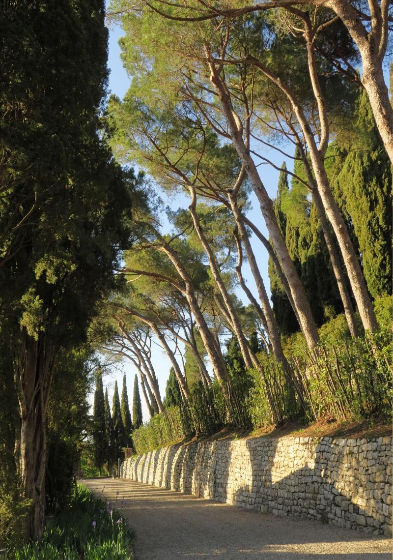 Castiglion del Bosco - Genel