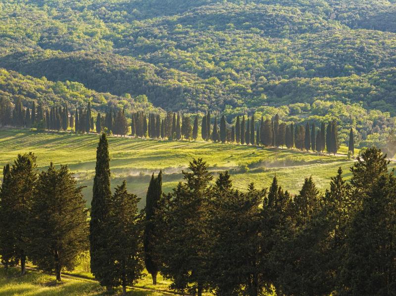 Castiglion del Bosco - Genel
