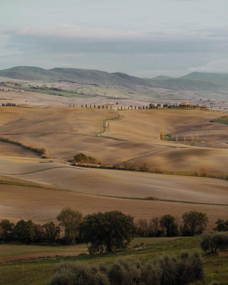 Castiglion del Bosco - Genel