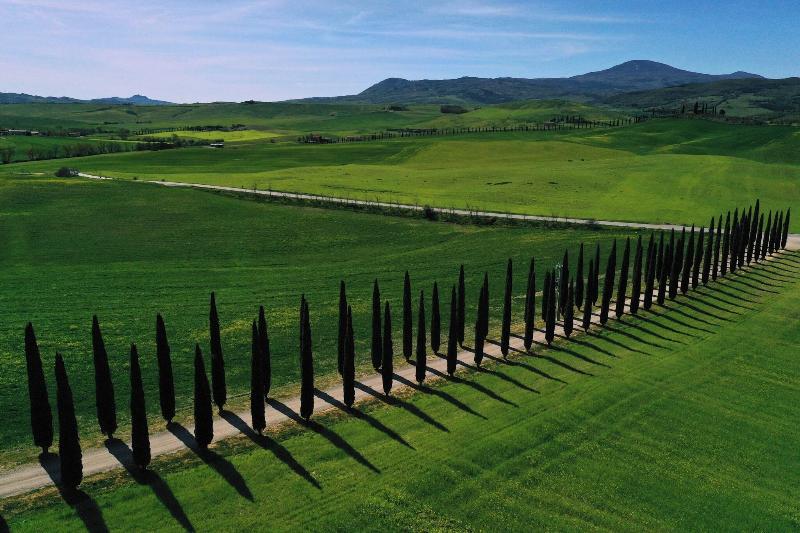 Castiglion del Bosco - Genel