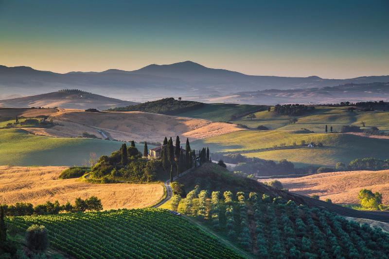 Castiglion del Bosco - Genel