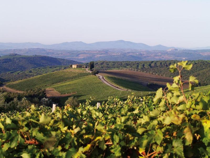 Castiglion del Bosco - Genel