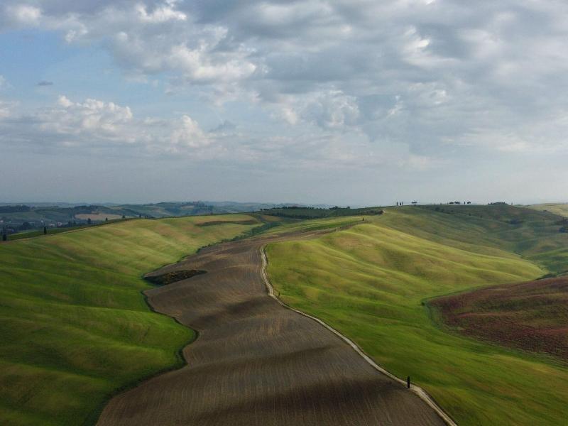 Castiglion del Bosco - Genel