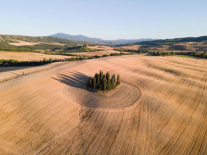 Castiglion del Bosco - Genel