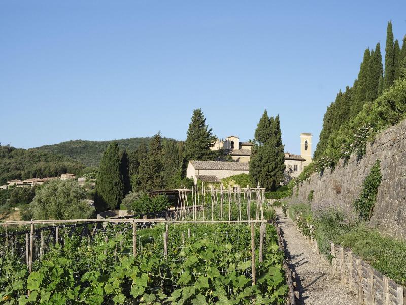 Castiglion del Bosco - Teras