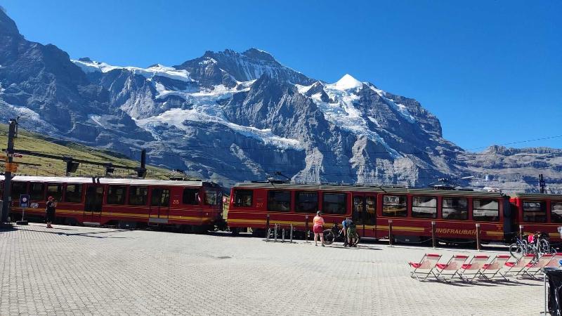 Bernerhof & Residence Hotels - Genel