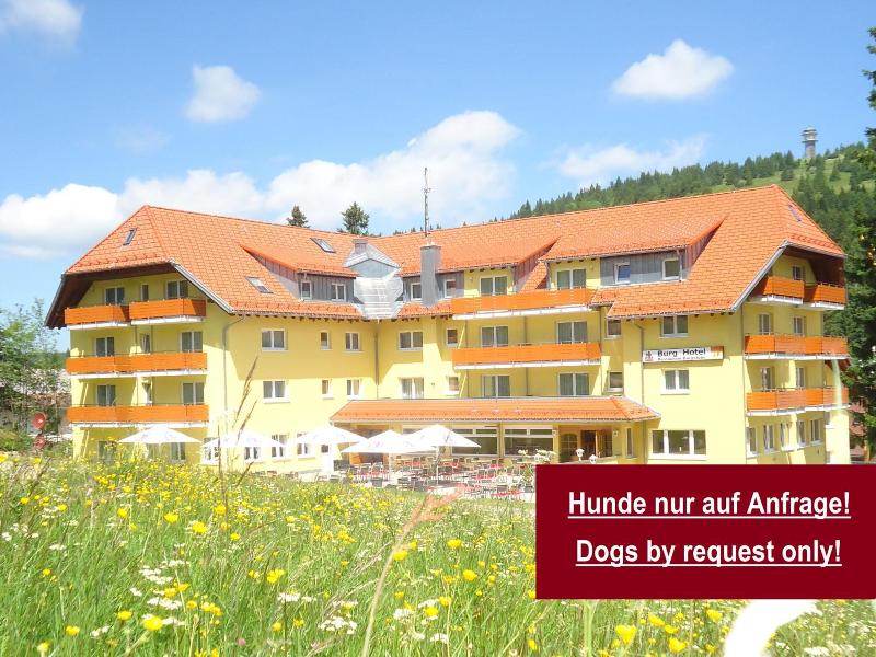 Burgstube Feldberg - Genel