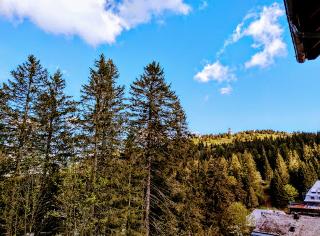 Burgstube Feldberg fotoÄŸrafÄ±