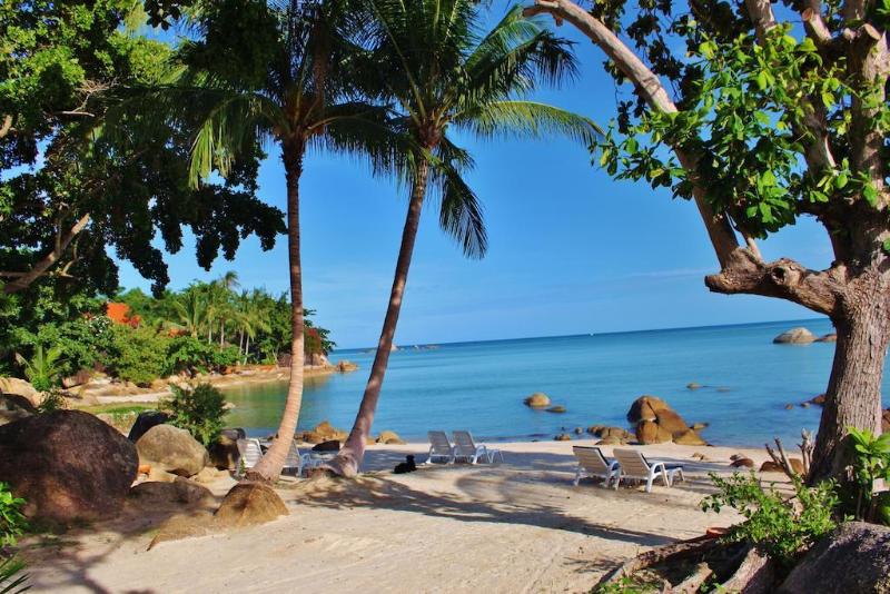 Lamai Bay View Resort - Genel