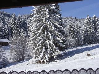 Schwarzwald-Pension Kräutle fotoÄŸrafÄ±