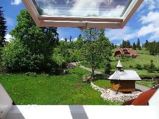 Schwarzwald-Pension Kräutle fotoÄŸrafÄ±