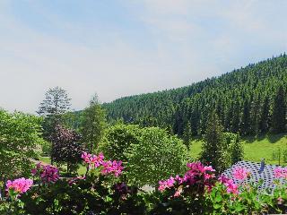 Schwarzwald-Pension Kräutle fotoÄŸrafÄ±