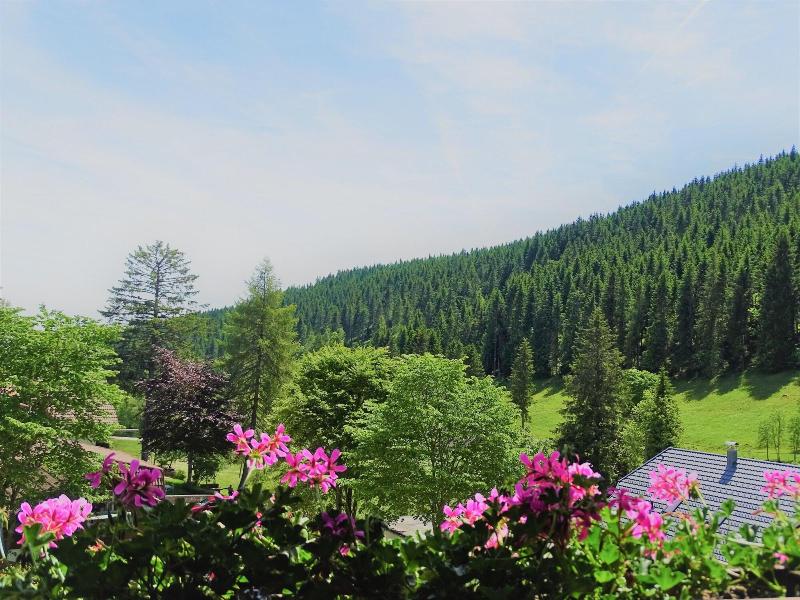 Schwarzwald-Pension Kräutle - Oda