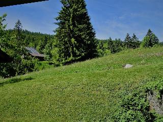 Schwarzwald-Pension Kräutle fotoÄŸrafÄ±