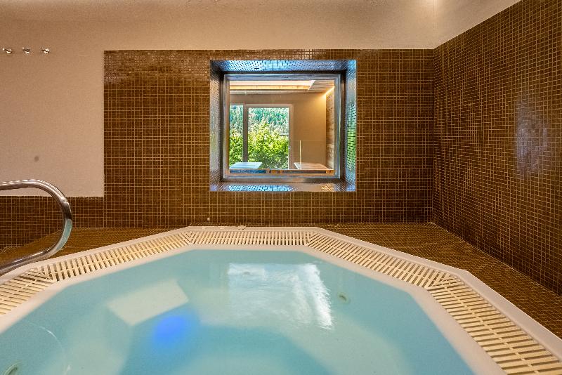 TH Cadore - Hotel Antelao - Havuz