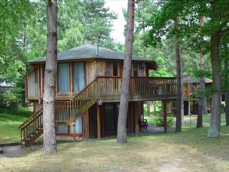 Bungalows Waldoase - Genel