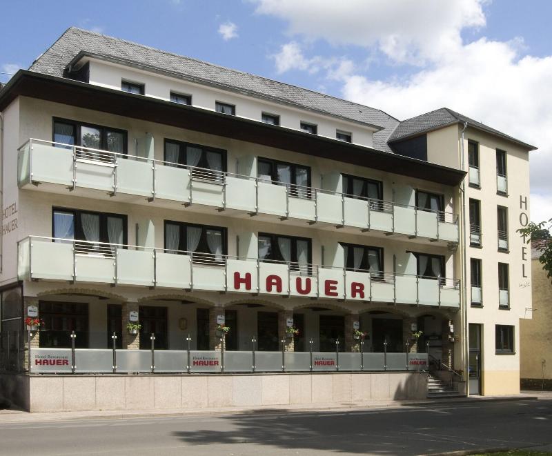 Hauer - Genel