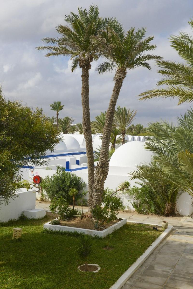 Club Marmara Dar Jerba - Narjess - Genel