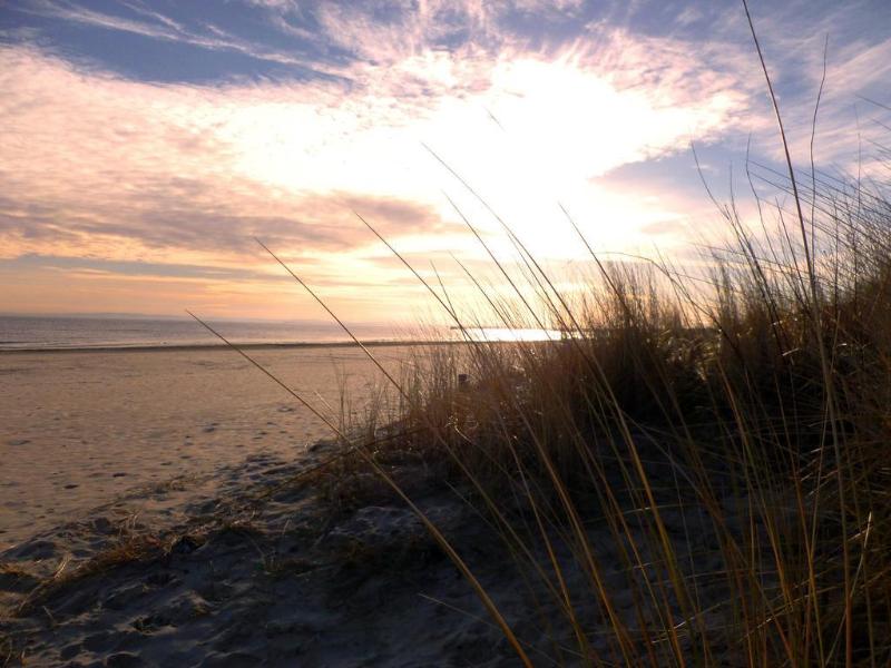 Upstalsboom Ostseestrand - Genel