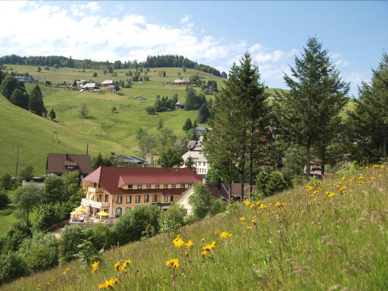 Grüner Baum - Genel